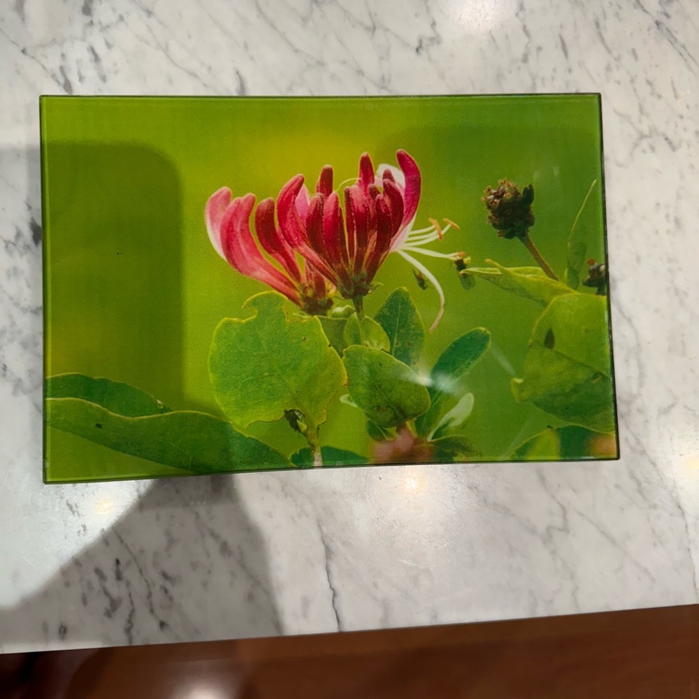 JHON DERIAN - flower plate